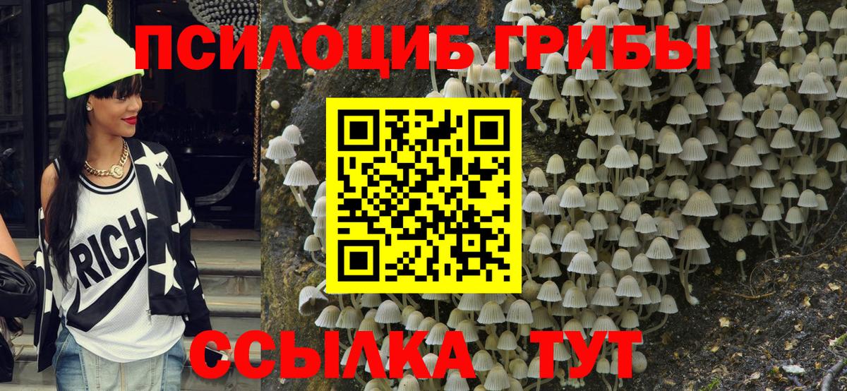 Псилоцибиновые грибы мухоморы Печора