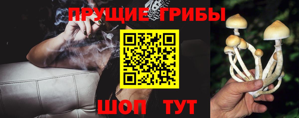 купить наркотик  Вход с VPN  Печора  Псилоцибиновые грибы Cubensis  Псилоцибиновые грибы GOLDEN TEACHER 